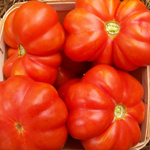Large Red TOMATO 0.16 g Large Red TOMATO 0.16 g