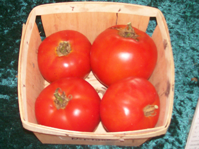 Neptune TOMATO 0.16 g Neptune TOMATO 0.16 g