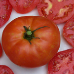Peron (Peron Sprayless) TOMATO 1.5g