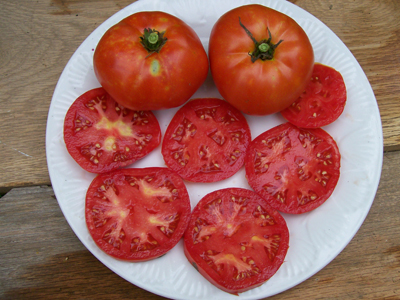 Peron (Peron Sprayless) TOMATO 0.16 g Peron (Peron Sprayless) TOMATO 0.16 g