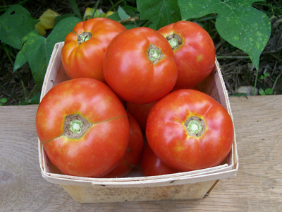 Stone TOMATO 0.16 g Stone TOMATO 0.16 g