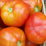 Stupice TOMATO 0.16 g