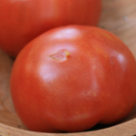 Tropic VFN TOMATO 1.5 g