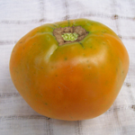 Earl of Edgecombe TOMATO 0.16 g Earl of Edgecombe TOMATO 0.16 g