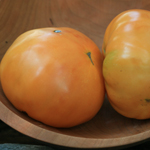 Golden Ponderosa TOMATO 0.16 g Golden Ponderosa TOMATO 0.16 g