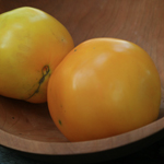 Manyel TOMATO 0.16 g Manyel TOMATO 0.16 g