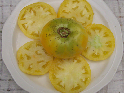 Manyel TOMATO 0.16 g Manyel TOMATO 0.16 g