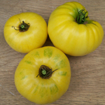 Yellow Mortgage Lifter TOMATO 0.16 g Yellow Mortgage Lifter TOMATO 0.16 g