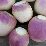 Purple Top White Globe TURNIP 28 g