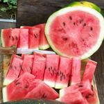 Moon and Stars, Long Milky Way WATERMELON 3 g