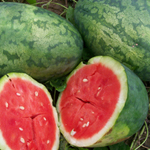 Strawberry WATERMELON 3 g