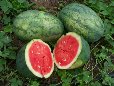 Strawberry WATERMELON 3 g Strawberry WATERMELON 3 g