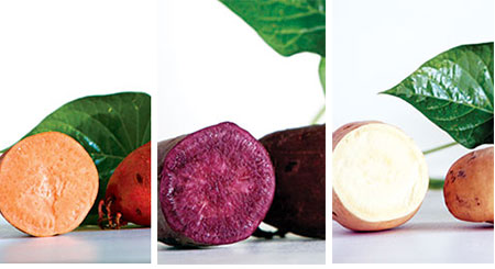 Sweet Potato Mix, Orange, White, and Purple, 18 Slips