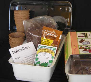 Butter Lettuce Kit, My First Organics Seed Starting Kit SUPPLY Butter Lettuce Kit, My First Organics Seed Starting Kit SUPPLY