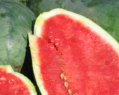 Nancy WATERMELON 3 g Nancy WATERMELON 3 g