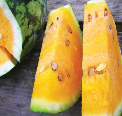 Watermelon Orange