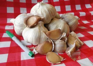 Pit River Passion Hardneck Garlic 8 oz. Pit River Passion Hardneck Garlic 8 oz.