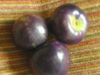 Purple TOMATILLO 0.09 g Purple TOMATILLO 0.09 g