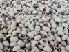 Pinkeye Purple Hull, Kiawah Southern Pea (Cowpea), bulk size: 1 lb Pinkeye Purple Hull, Kiawah Southern Pea (Cowpea), bulk size: 1 lb