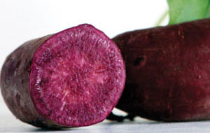 All Purple Sweet Potato