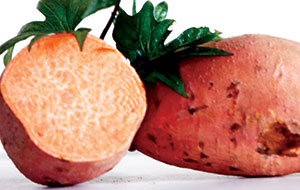 Ginseng Sweet Potato