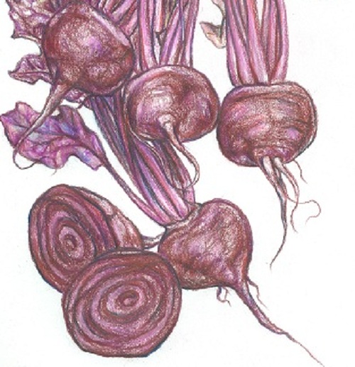 Bull's Blood Beet 5g