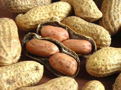 Virginia Jumbo PEANUT 28 g Virginia Jumbo PEANUT 28 g