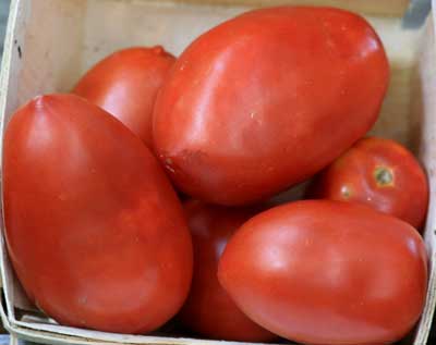 Amish Paste TOMATO 0.16 g Amish Paste TOMATO 0.16 g