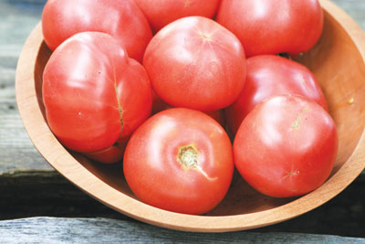Arkansas Traveler TOMATO 1.5 g Arkansas Traveler TOMATO 1.5 g