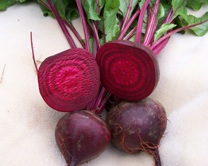 Crosby Egyptian (Early Crosby Egyptian) BEET 28 g Crosby Egyptian (Early Crosby Egyptian) BEET 28 g