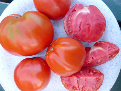 Bisignano #2 Paste Tomato 0.16 g Bisignano #2 Paste Tomato 0.16 g