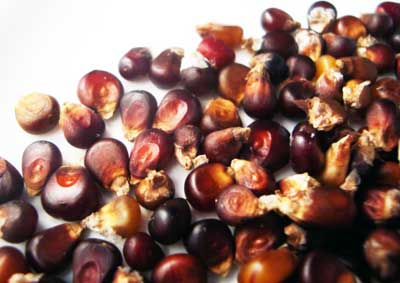 Chocolate Cherry POPCORN 114 g