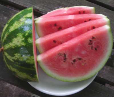 Crimson Sweet, Virginia Select WATERMELON 3 g