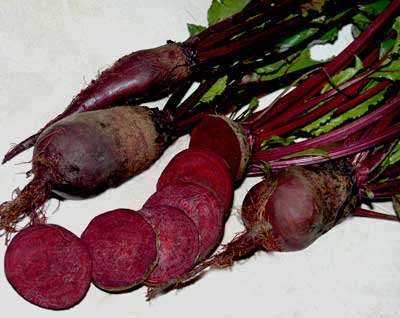Cylindra Beet 5g Cylindra Beet 5g