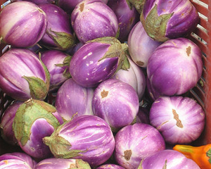 Rosa Bianca EGGPLANT 0.25 g Rosa Bianca EGGPLANT 0.25 g