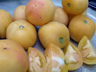 Garden Peach TOMATO 0.16 g Garden Peach TOMATO 0.16 g