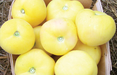Garden Peach TOMATO 0.16 g Garden Peach TOMATO 0.16 g