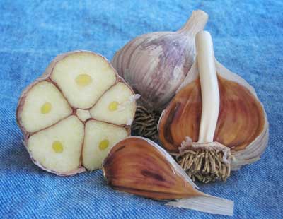 Asian Tempest Asiatic Garlic 8 oz. Asian Tempest Asiatic Garlic 8 oz.