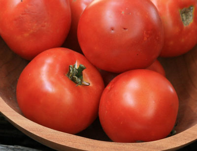 Heinz 1350 VF Processing Tomato 0.16 g Heinz 1350 VF Processing Tomato 0.16 g