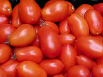 Hungarian Italian Paste Tomato 0.16 g Hungarian Italian Paste Tomato 0.16 g