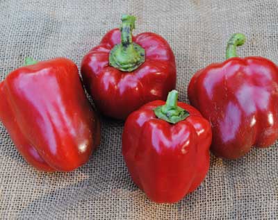 Jupiter PEPPER, BELL (SWEET) 0.5 g Jupiter PEPPER, BELL (SWEET) 0.5 g