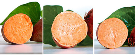 Sweet Potato Mix, 3 Orange Varieties, 18 Slips