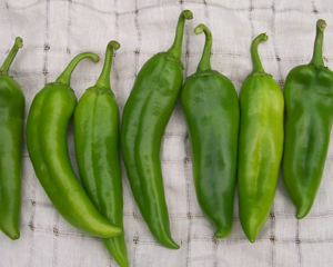 Anaheim Chile PEPPER, HOT 0.5 g Anaheim Chile PEPPER, HOT 0.5 g