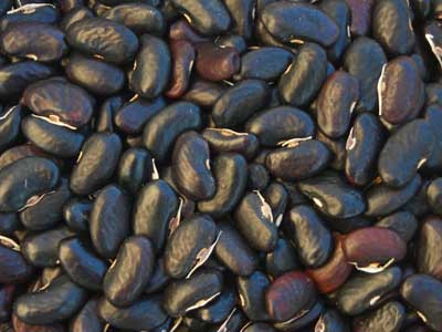 Potomac BEAN, SNAP (POLE) 28 g Potomac BEAN, SNAP (POLE) 28 g