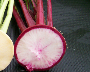China Rose RADISH, FALL 7 g China Rose RADISH, FALL 7 g