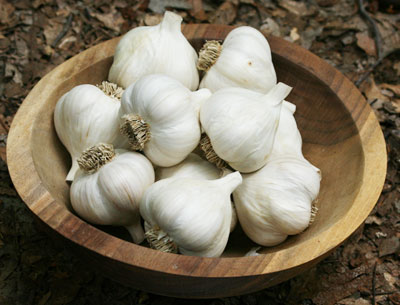 S&H Silverskin Softneck Garlic 8 oz. - Click Image to Close