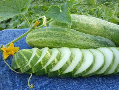 Straight Eights CUCUMBER 2 g Straight Eights CUCUMBER 2 g