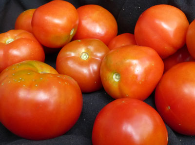 Stupice TOMATO 0.16 g Stupice TOMATO 0.16 g