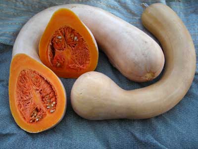 tahitian melon squash