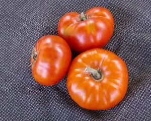 Hazelfield Farm Red TOMATO 0.16 g Hazelfield Farm Red TOMATO 0.16 g